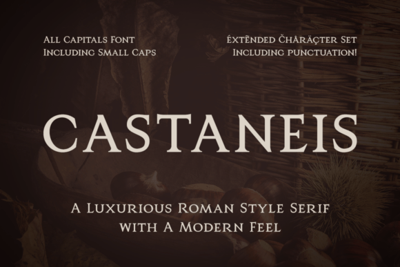 Castaneis: A Roman-Inspired Serif with Modern Luxury